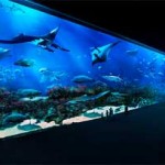 Marine Life Park