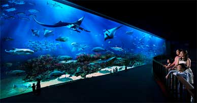Marine Life Park