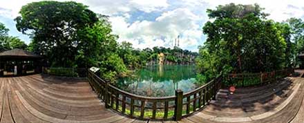 Bukit-Timah-Nature-Reserve
