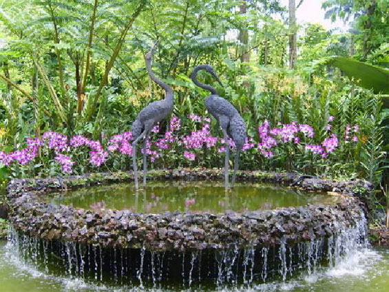 Botanical Gardens