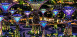 Gardens by the Bay