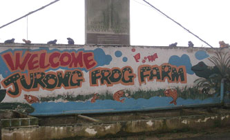 Jurong Frog Farm
