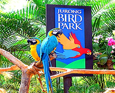 Jurong Bird Park