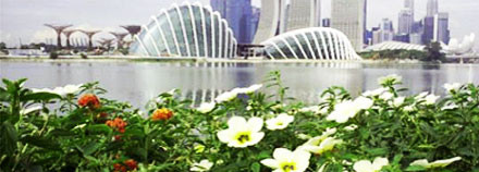 Gardens by the Bay